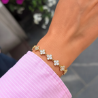 الذواقة الحرف الأول من ديامور